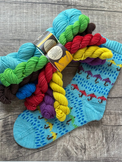 Rain City Socks Kits